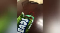 Pennsylvania parent takes bite into trick-or-treat candy, finds sewing needle: police