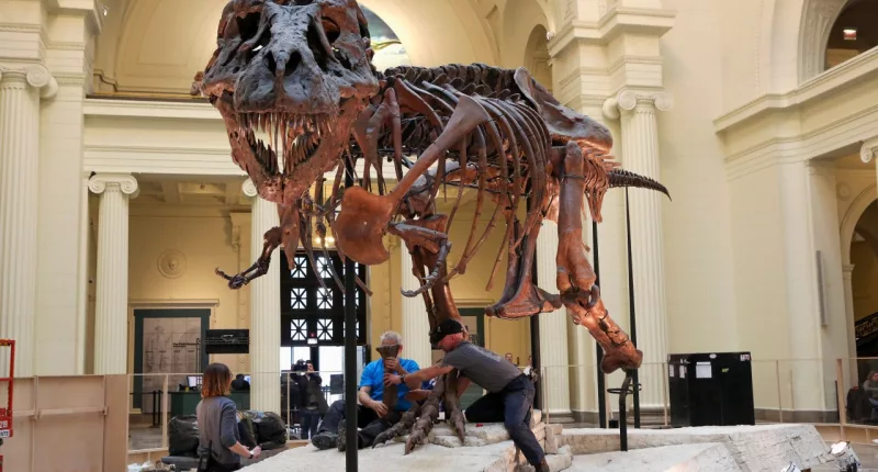 FILE - In this Feb. 5, 2018, photo, Garth Dallman, center, and Bill Kouchie, right, both from the dinosaur restoration firm Research Casting International, Ltd., begin the of dismantling Sue, the Tyrannosaurus rex, on display at Chicago