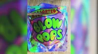 School bus driver on leave after Halloween candy cannabis scare