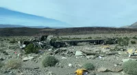 Several stung after trailer carrying beehives rolls over