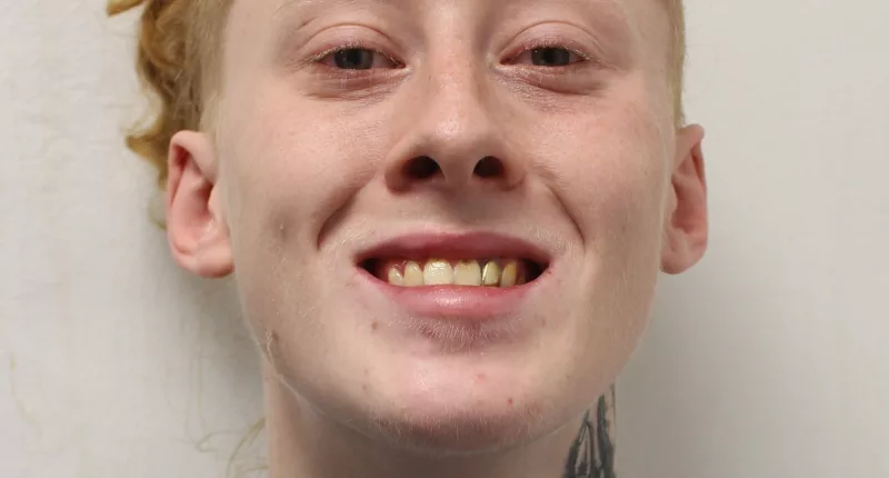 Nicholas Hopkins grinned in his mugshot after admitting a number of offences
