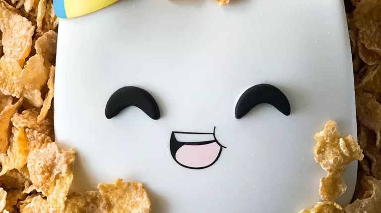 Smitty Face Reveal 2023: Wikipedia And Age