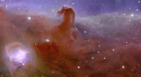 Space as you've NEVER seen it before: ESA releases images from Euclid