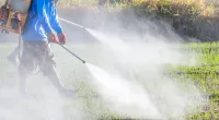 Farmer spraying pesticide in the rice field — Stock Photo, Image