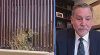 Texas Rep. on migrant arrest bill: 'We're not trying to round up folks'