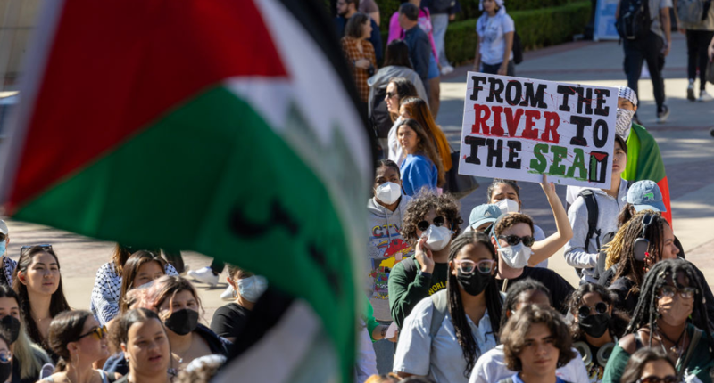 UCLA faculty urge university to condemn pro-Hamas protests 'crossing the line from speech to incitement'