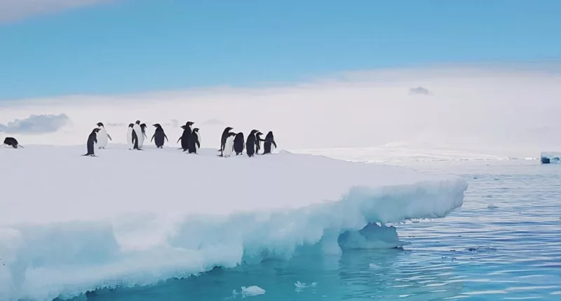 UN Secretary-General visits Antarctica as climate talks loom