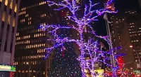 Fox News held its Christmas Tree Lighting ceremony partnering with the First Responders Children's Foundation