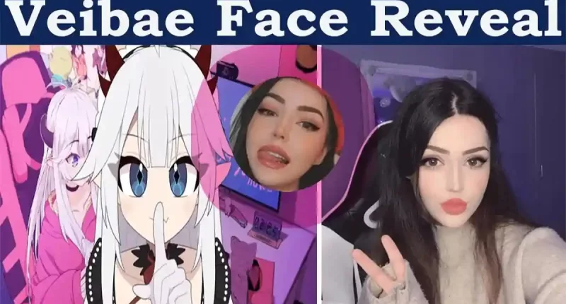 Vei Twitch Face Reveal