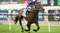 Champion jockey James McDonald rode Riff Rocket in the Victoria Derby - and attracted plenty of attention in the betting ring before winning in a photo finish