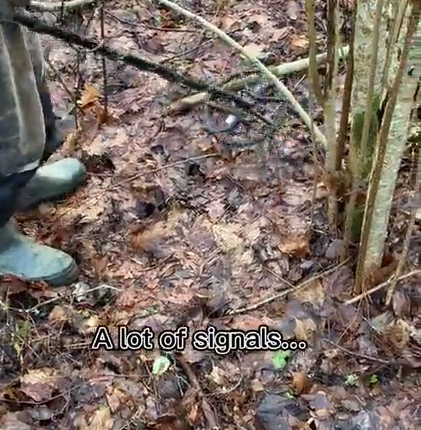 Treasure hunters have found a hidden stash of Nazi coins
