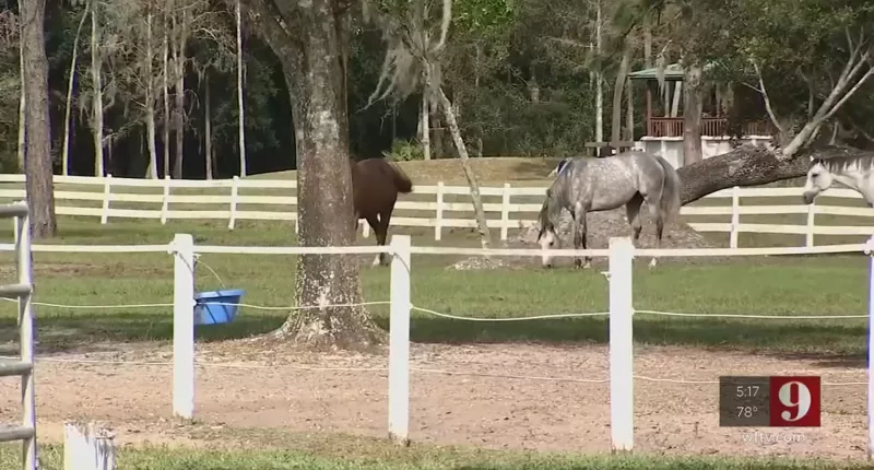 Residents of a Florida community were shocked to learn they could be fined by an HOA they did not even know existed after it began changing the rules on pet ownership and care