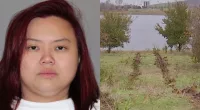 Wei Fen Ong stabbed husband, drove kids into lake: Cops