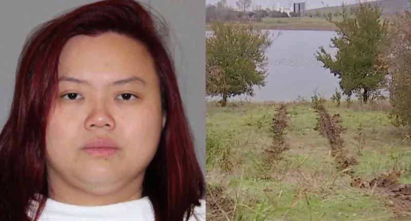 Wei Fen Ong stabbed husband, drove kids into lake: Cops