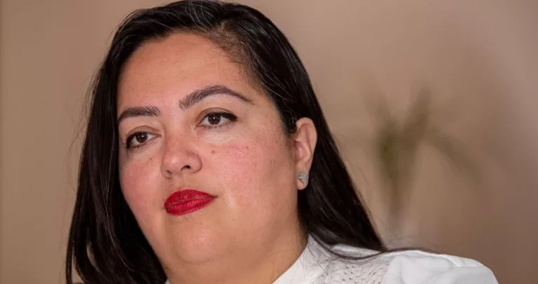 Wendy Carrillo DUI And Accident Video: Arrest Update