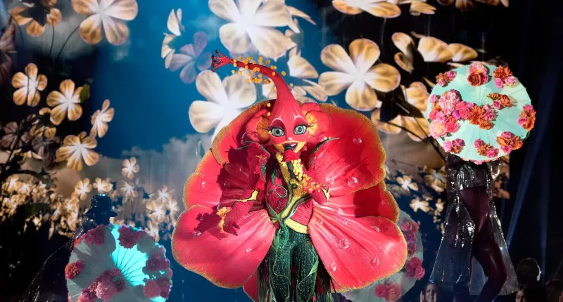 Hibiscus singing in