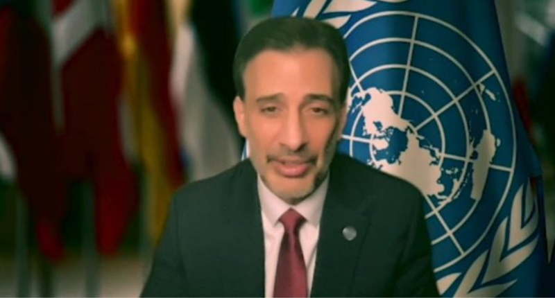 Craig Mokhiber Resign