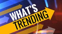 Why Is Frog Girl Trending On Twitter And Reddit? Find Out Here!