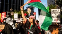 Why was the Bay Bridge blocked? APEC protests explained