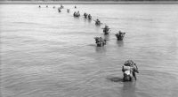 Crocodiles are thought to have devoured 500 soldiers on Ramree Island