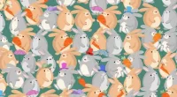 You are completely unflappable if you can find the hidden mouse among the rabbits in 12 seconds