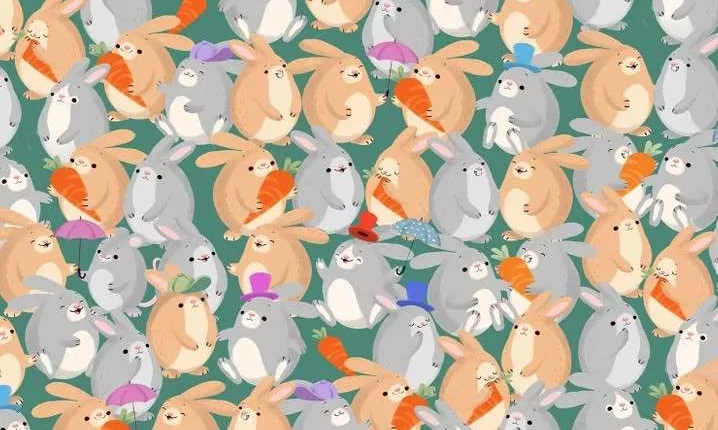 You are completely unflappable if you can find the hidden mouse among the rabbits in 12 seconds