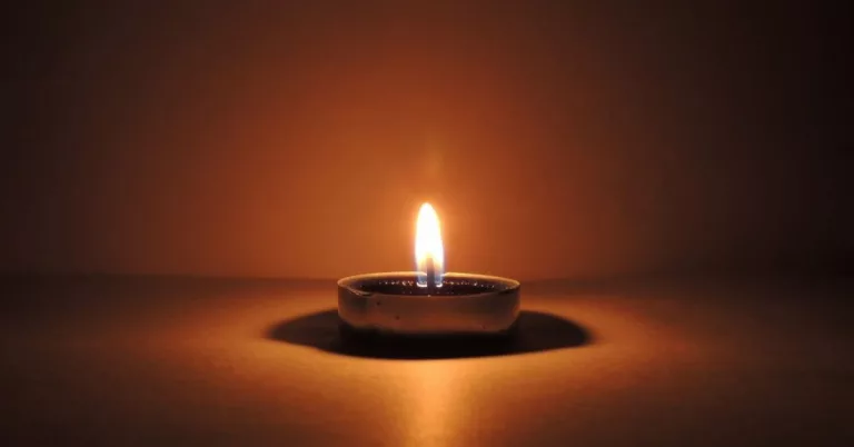 Albany Bethany Wolfe Death And Obituary: Family Mourns