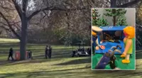 Bizarre crimes of 2023 include thief who left marbles and poultry-wielding woman