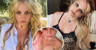 Britney Spears poses in nothing but a bra and underwear after celebrating 42nd birthday