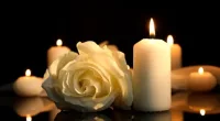 Brooke Raia died