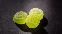 Bus driver who claimed to accidentally eat THC gummies, pass out on highway granted probation