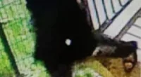 Chilling CCTV footage shows a man fleeing from his home after allegedly killing his wife and four children on Christmas Day
