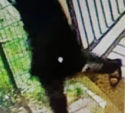 Chilling CCTV footage shows a man fleeing from his home after allegedly killing his wife and four children on Christmas Day