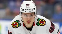 Connor Bedard Divorce