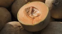 Don't eat pre-cut cantaloupe if the source is unknown, CDC says, as deadly salmonella outbreak grows