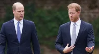 Dutch version of Scobie book calls William 'heartless'