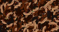 Find the real sausage in the picture