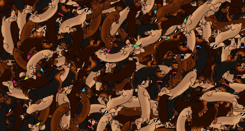 Find the real sausage in the picture