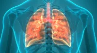 Evolution of Tuberculosis: New Insights and Facts