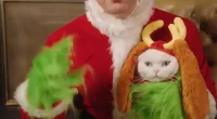 A lawyer has opened up on the sentence The Grinch could receive for stealing Christmas