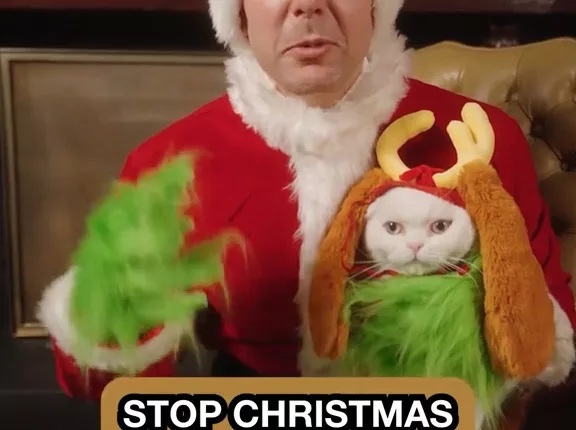 A lawyer has opened up on the sentence The Grinch could receive for stealing Christmas
