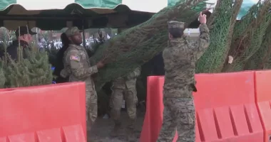 Fort Eisenhower gives away Christmas trees during annual 'Trees for Troops'