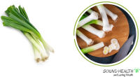 Fresh Leek: Nutrition Facts Health Benefits, and Recipes