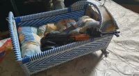 IDF handout pictures showing an AK47 in a cot