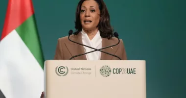 Harris dashed to Dubai to tackle climate change and war. Each carries high political risks at home