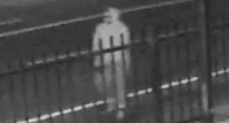 There is a single suspect connected to the murder of three homeless men