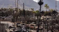 Hawaii governor calls for vacation rentals to be converted to homes