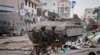 Hero dogs: Israel's canine unit saved lives by spotting Hamas terror traps, saving civilians near Gaza Strip