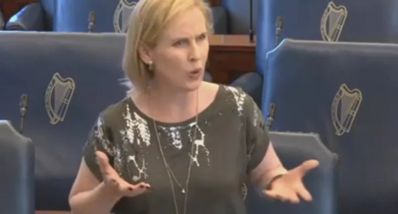 Irish senator under fire for advocating bill to restrict free speech