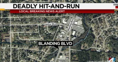 JSO asks for help to find Volkswagen involved in deadly hit-and-run on Blanding Blvd